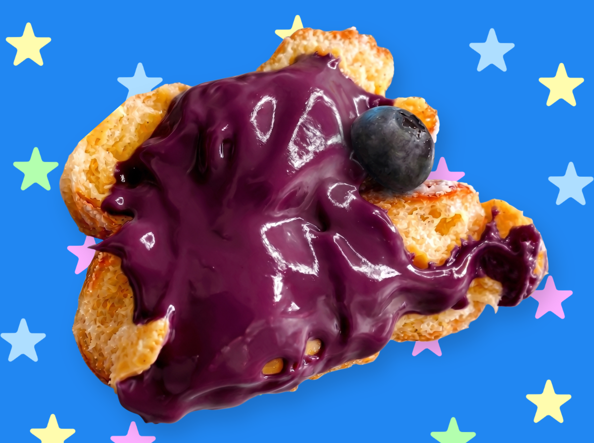 Blueberry Donut